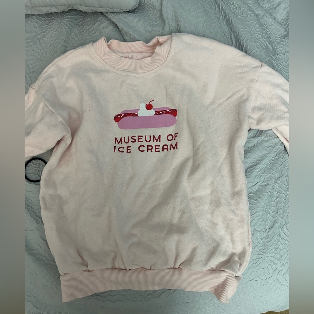 Chicago museum of ice cream sweatshirt